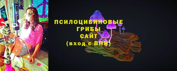 PSILOCYBIN Горнозаводск